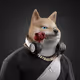 3774