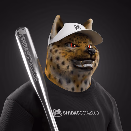 Shiba #2411
