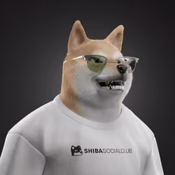 Shiba #4519