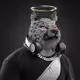 2044