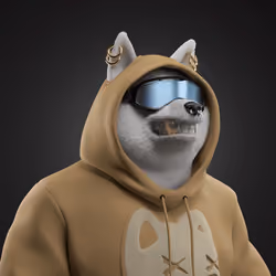 Shiba #172