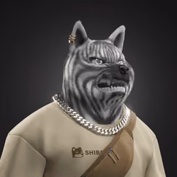 Shiba #468