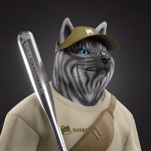 Shiba #3337