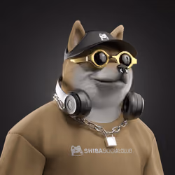Shiba #3221