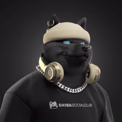 Shiba #3461