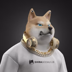Shiba #4275