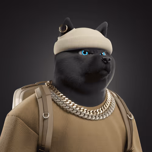 Shiba #5683