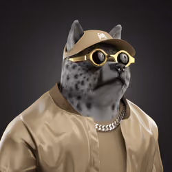 Shiba #6218