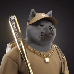 Shiba #6433