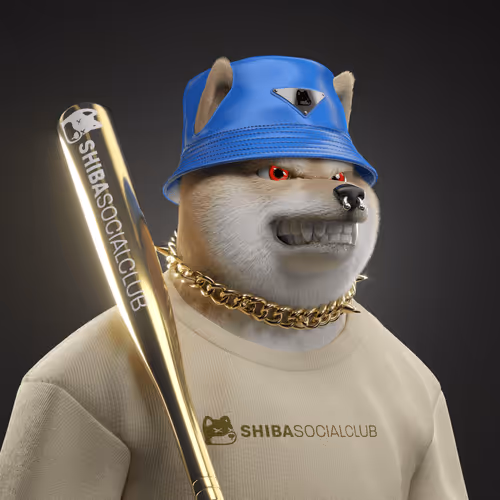 Shiba #4898