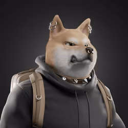 Shiba #6831