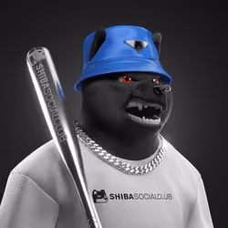 Shiba #887