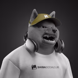 Shiba #3303