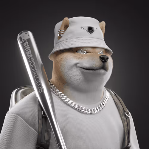 Shiba #6102