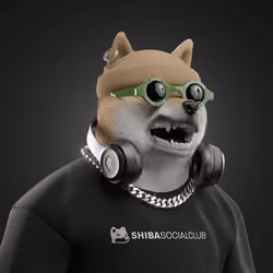 Shiba #3266