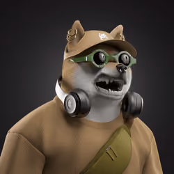Shiba #2548