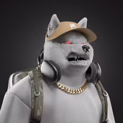 Shiba #5807
