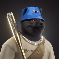 Shiba #4863