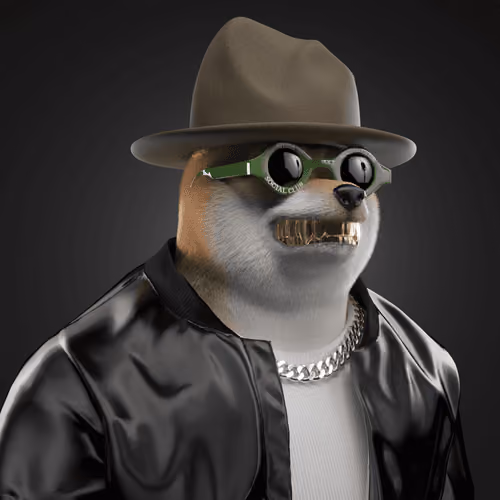 Shiba #456