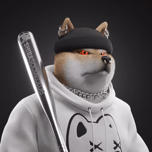 Shiba #2166