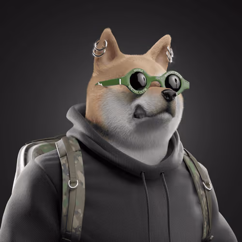 Shiba #4859