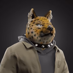Shiba #4474