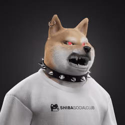 Shiba #1181