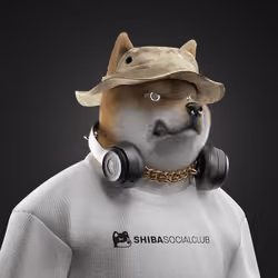 Shiba #771