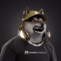 Shiba #4936