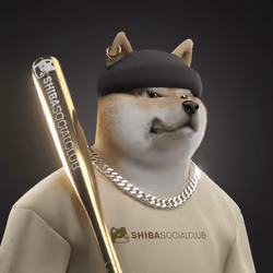 Shiba #6112