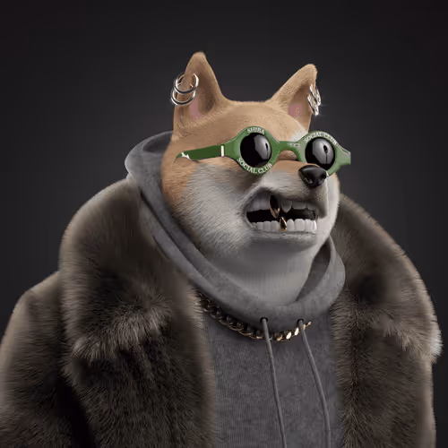 Shiba #950