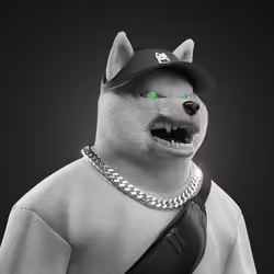 Shiba #1695