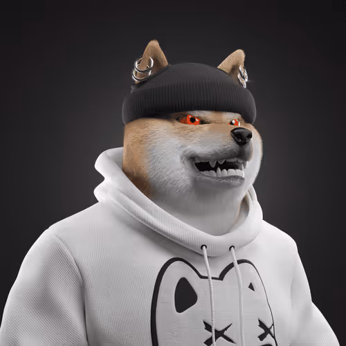 Shiba #1260