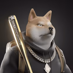 Shiba #6029
