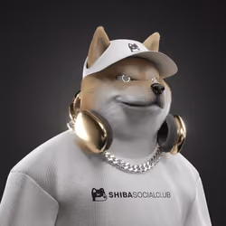 Shiba #6602