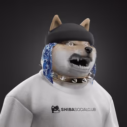 Shiba #4800