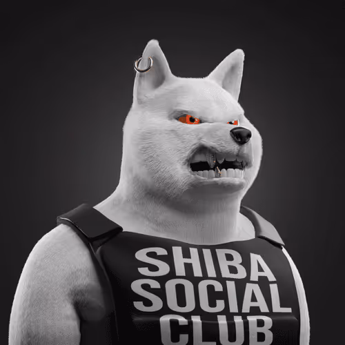 Shiba #2552