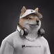 4768