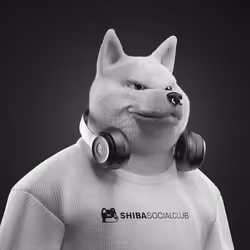 Shiba #295