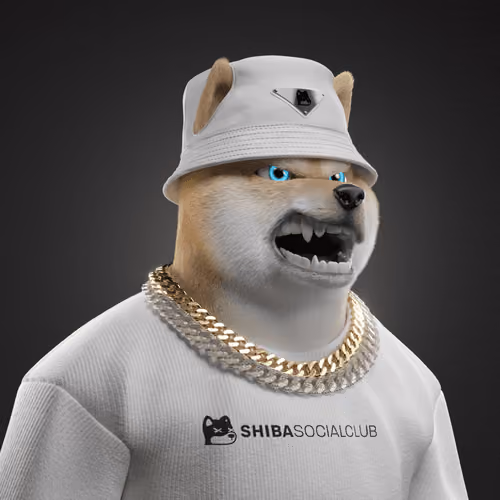 Shiba #3714