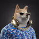 6427