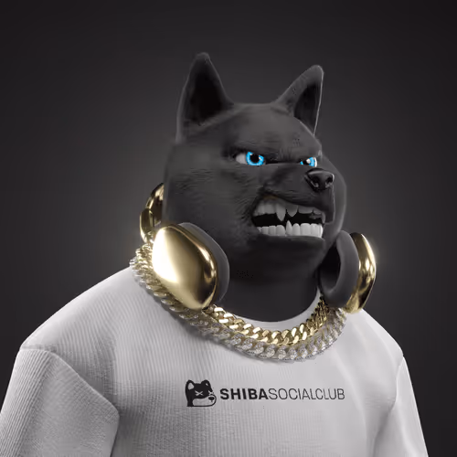 Shiba #7703
