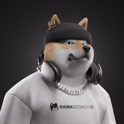 Shiba #2682