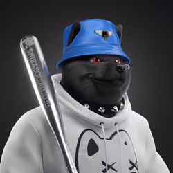 Shiba #6756