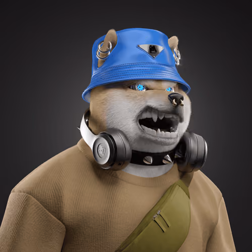 Shiba #6208