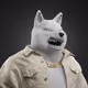 6479