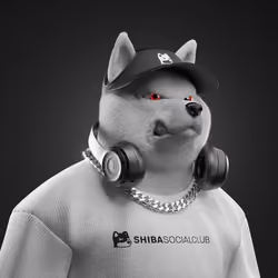 Shiba #292