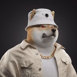 Shiba #513