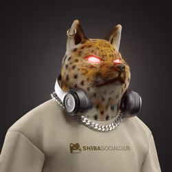 Shiba #7525