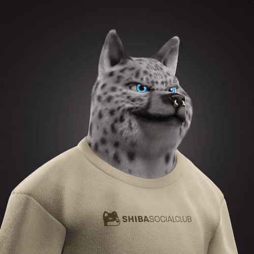 Shiba #1668